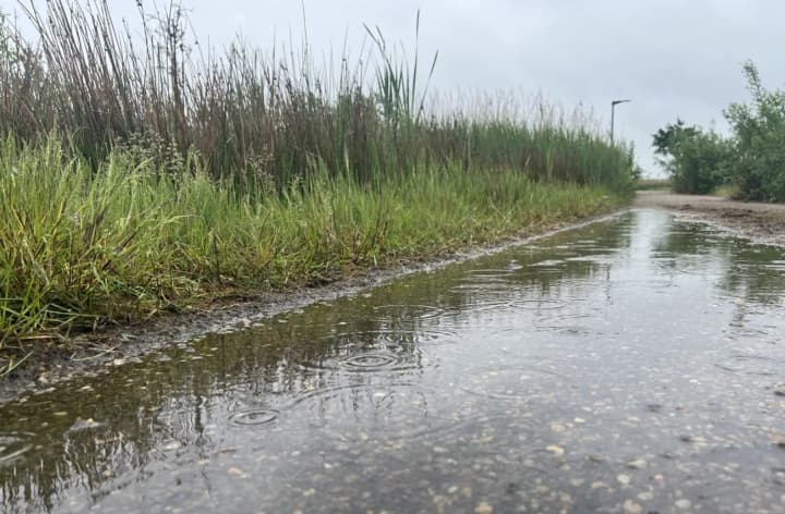 gusty-wind-and-rain-according-to-didenkos-forecast-the-air-will-clear-today-and-on-june-18-without-significant-precipitation