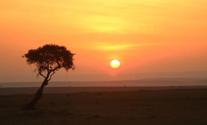 millioni-lyudei-nakhodyatsya-pod-ugrozoi-iz-za-planov-po-sokrashcheniyu-flagmanskoi-kampanii-ssha-po-borbe-s-malyariei
