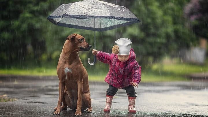 ukrainu-nakryiut-doshchi-ta-hrozy-23-chervnia-detalnyi-prohnoz-pohody