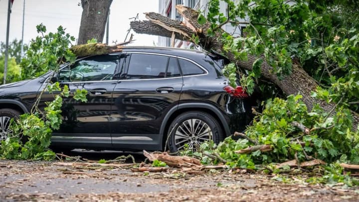 storm-ziros-swept-through-eastern-germany-one-victim-railway-traffic-disrupted