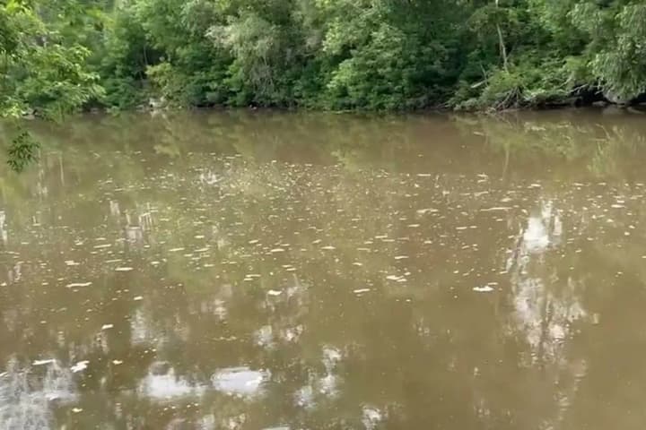 poltava-ecocide-who-allowed-globino-to-poison-psel