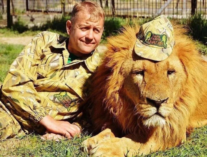 v-krimu-vivezennii-iz-mariupolya-lev-napal-na-vladeltsa-zooparka-muzhchina-v-tyazhelom-sostoyanii