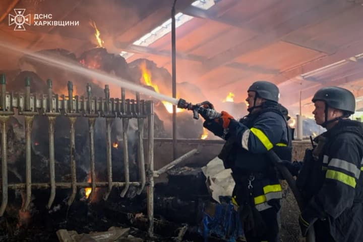 armiya-rf-sbrosila-aviabombu-na-agropredpriyatie-v-kharkovskoi-oblasti-dva-cheloveka-raneni-pogib-skot