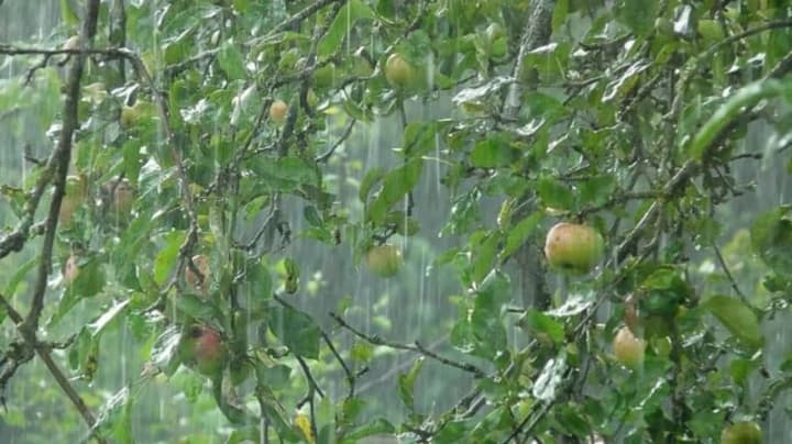 ukrainu-nakryiut-korotkochasni-doshchi-hrozy-ta-shkvaly-prohnoz-pohody-na-28-chervnia