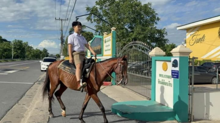 taiskyi-shkoliar-shchodnia-yizdyt-do-shkoly-verkhy-na-zherebtsi