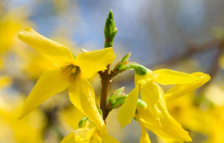 poteplenie-pridet-v-ukrainu-uzhe-na-etoi-nedele-v-ukrgidromettsentre-dali-prognoz