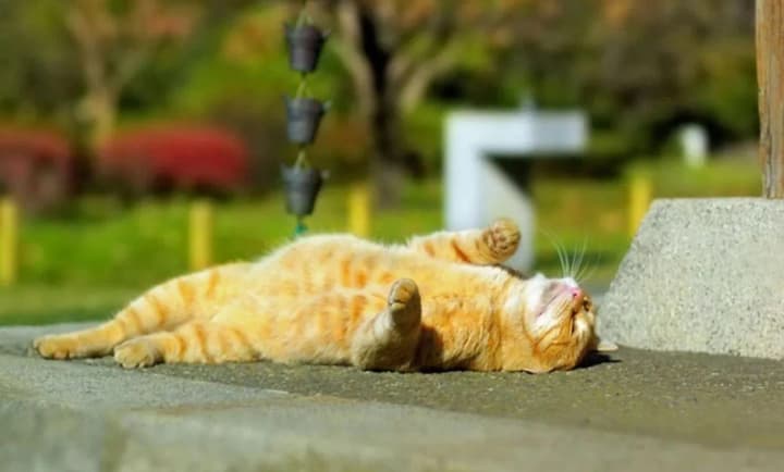 ukrainu-nakryie-anomalna-speka-de-ochikuvaty-doshchi-3-lypnia