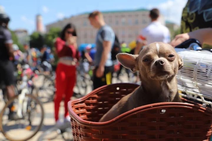 ukraine-to-be-covered-by-heat-up-to-35-degrees-in-the-west-it-will-be-balanced-by-an-atmospheric-front-forecaster