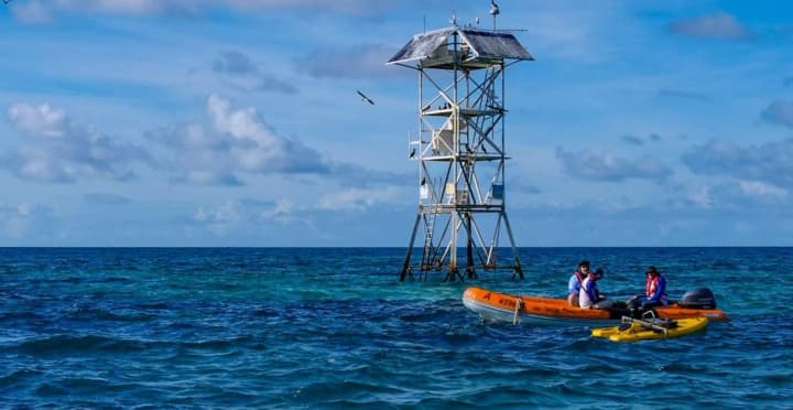 deep-sea-mining-for-battery-production-threatens-marine-life-some-populations-will-decline-report