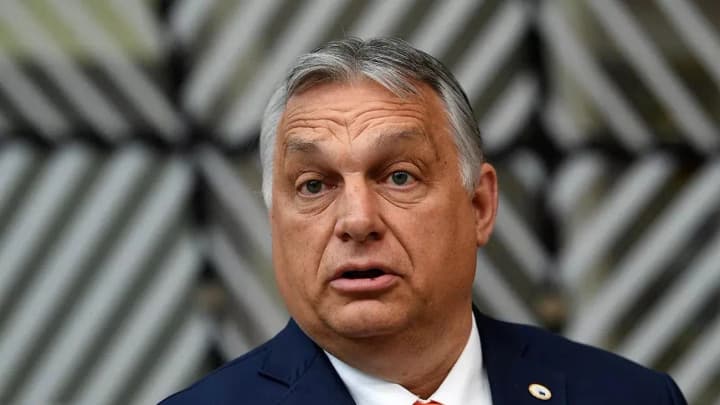 orban-pobachyv-v-uhorshchyni-ukrainski-spetssluzhby-yaki-butsimto-maly-vplyvaty-na-parlamentski-vybory