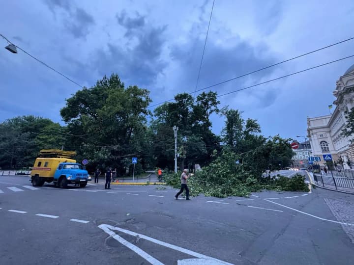 vidkliuchennia-svitla-povaleni-dereva-u-lvovi-vyruie-nehoda