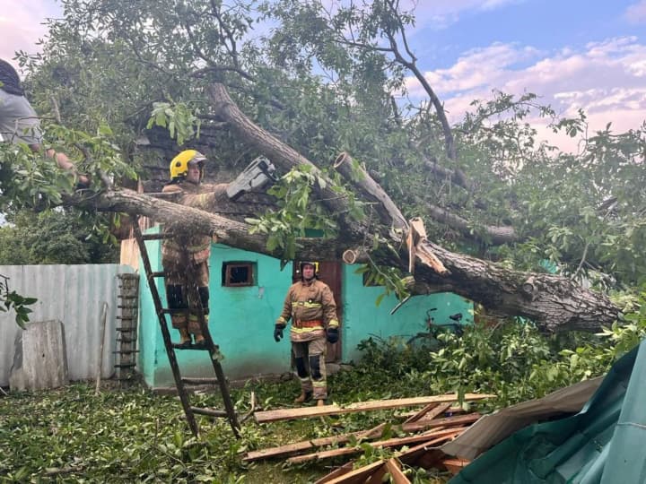 storm-in-rivne-region-felled-trees-damaged-houses-and-left-13-settlements-without-electricity