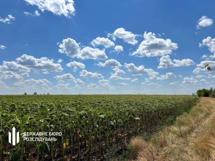na-dnepropetrovshchine-godami-nezakonno-zasevali-tankovii-poligon-budut-sudit-dolzhnostnoe-litso