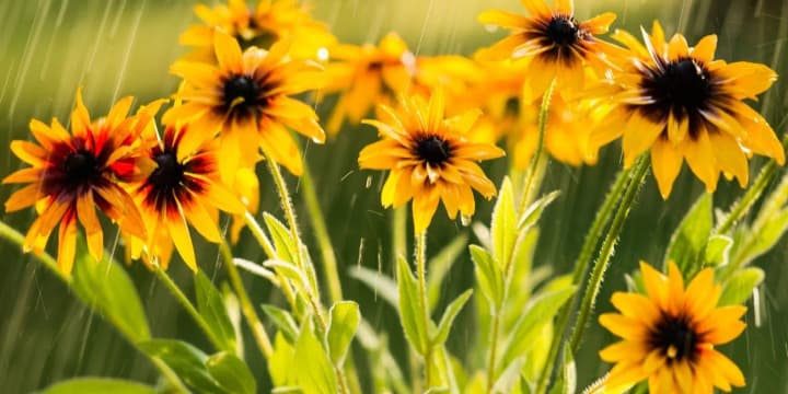 komfortna-litnia-pauza-vid-speky-yakoiu-bude-pohoda-v-ukraini-vprodovzh-vykhidnykh