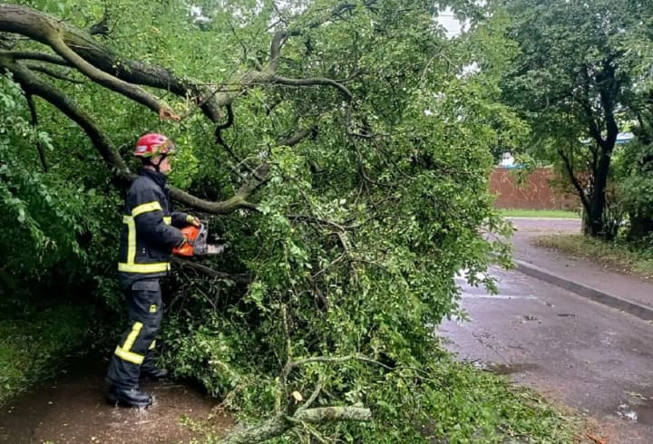 tree-fell-on-a-child-in-kharkiv-7-year-old-girl-hospitalized