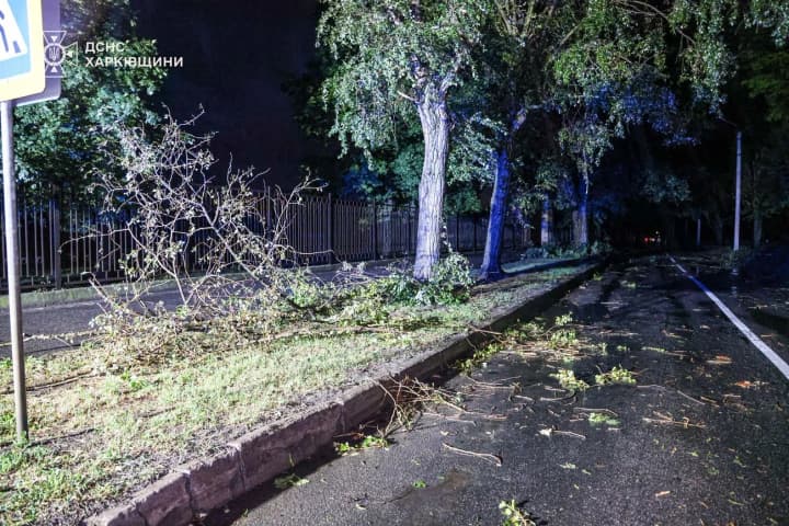 nehoda-na-kharkivshchyni-odna-liudyna-zahynula-piatero-travmovani