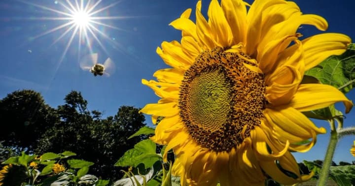 tomorrow-ukraine-will-be-covered-by-a-weather-mix-from-17-in-the-west-to-35-in-the-east