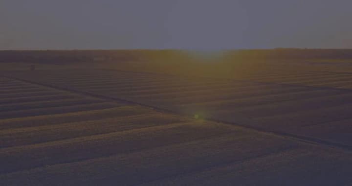 zanyal-1000-ga-zemel-vsu-i-zaseyal-ikh-ozimimi-predprinimatelyu-na-nikolaevshchine-obyavili-podozrenie