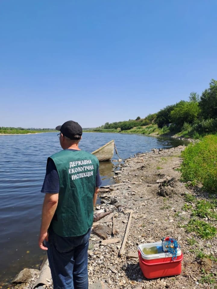 mass-fish-kill-occurred-in-a-lake-in-zaporizhzhia-causes-named