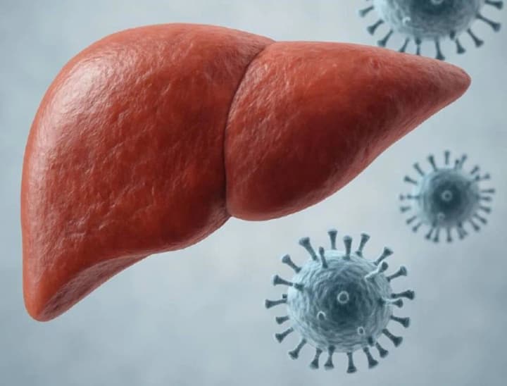 v-tsentri-shalimova-rozpovily-pro-likuvannia-diahnostyku-i-profilaktyku-virusnykh-hepatytiv