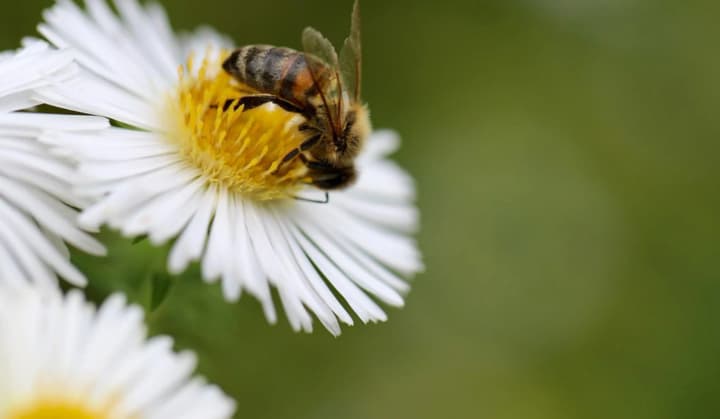 minlyva-khmarnist-mistsiamy-korotkochasni-doshchi-ta-hrozy-prohnoz-pohody-na-31-lypnia