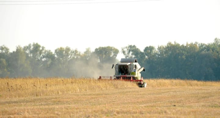 almost-24000-tons-of-harvest-transferred-to-russia-an-mp-from-opzzh-who-collaborated-with-the-occupiers-was-exposed