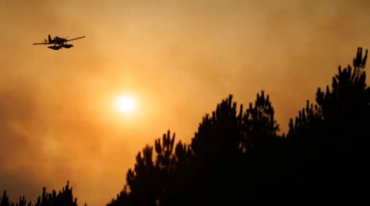 v-portugalii-pozhar-pod-kontrolem-no-spasateli-gotovi-k-povtornoi-vspishke-na-fone-silnoi-zhari