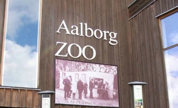 kuri-kroliki-i-dazhe-loshadi-zoopark-v-danii-prizval-vladeltsev-otdavat-domashnikh-zhivotnikh-na-korm-khishchnikam