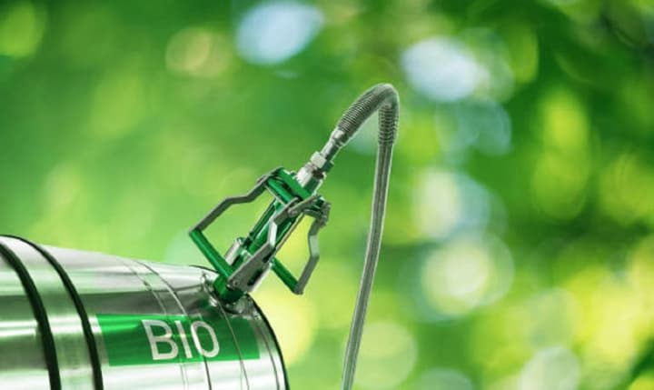 international-biodiesel-day-builders-day-melon-day-what-else-is-celebrated-on-august-10