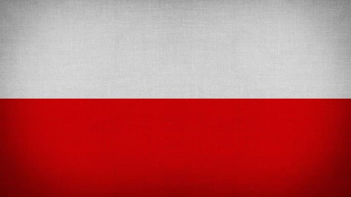 poland-revealed-who-represented-it-at-the-online-meeting-with-trump-and-zelenskyy