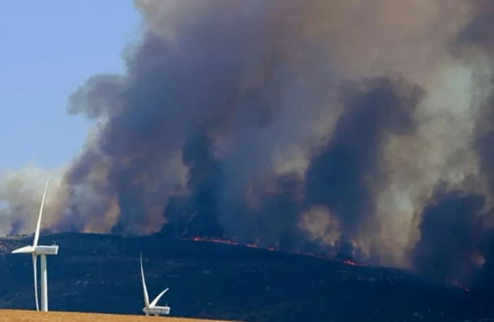 plamya-na-balkanakh-lesnie-pozhari-okhvatili-albaniyu-i-chernogoriyu-yest-zhertvi-i-evakuatsii