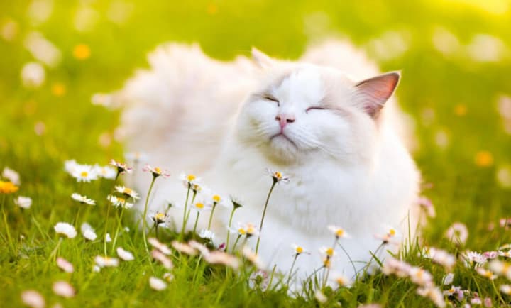 ukraine-to-be-covered-by-variable-cloudiness-weather-forecast-for-august-14