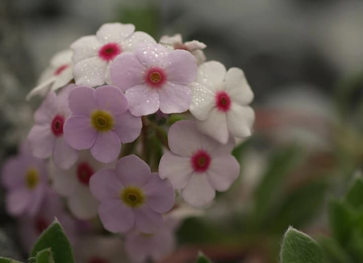 ukrainu-nakryie-seredzemnomorskyi-tsyklon-prohnoz-pohody-na-22-serpnia