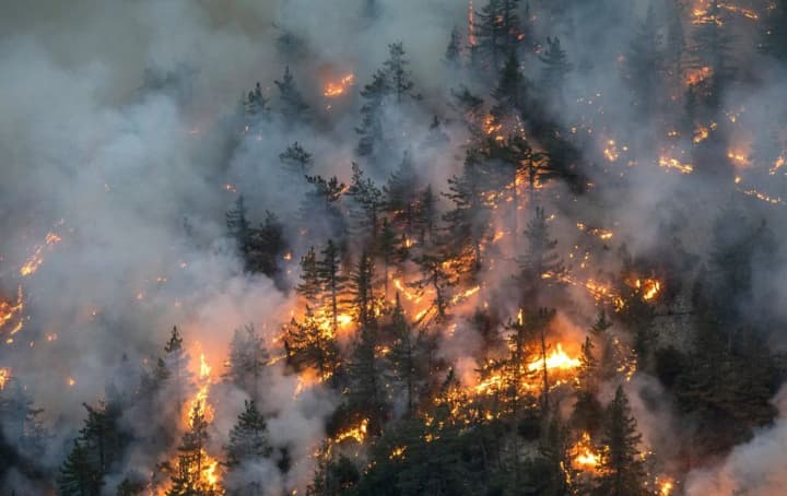 spain-declared-16-regions-disaster-zones-due-to-massive-forest-fires