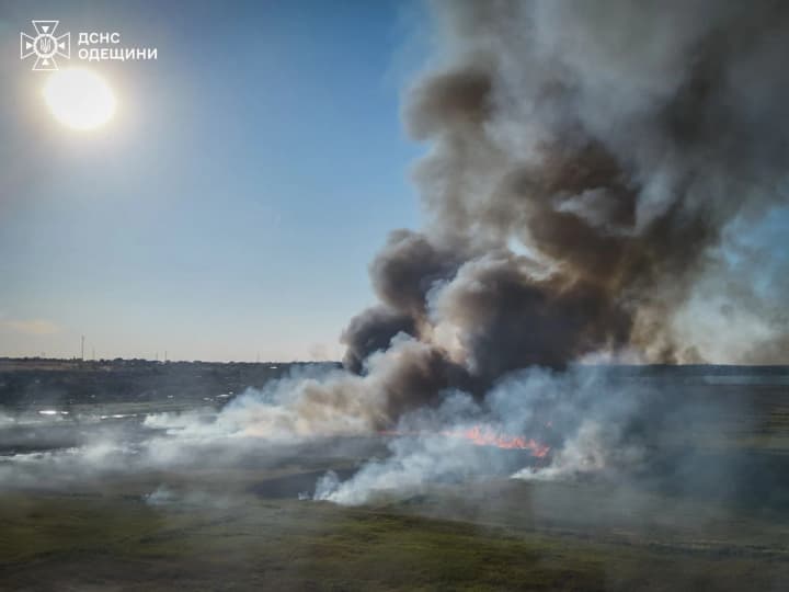 v-odesi-stalasia-masshtabna-pryrodna-pozhezha-dlia-hasinnia-zaluchaly-dron