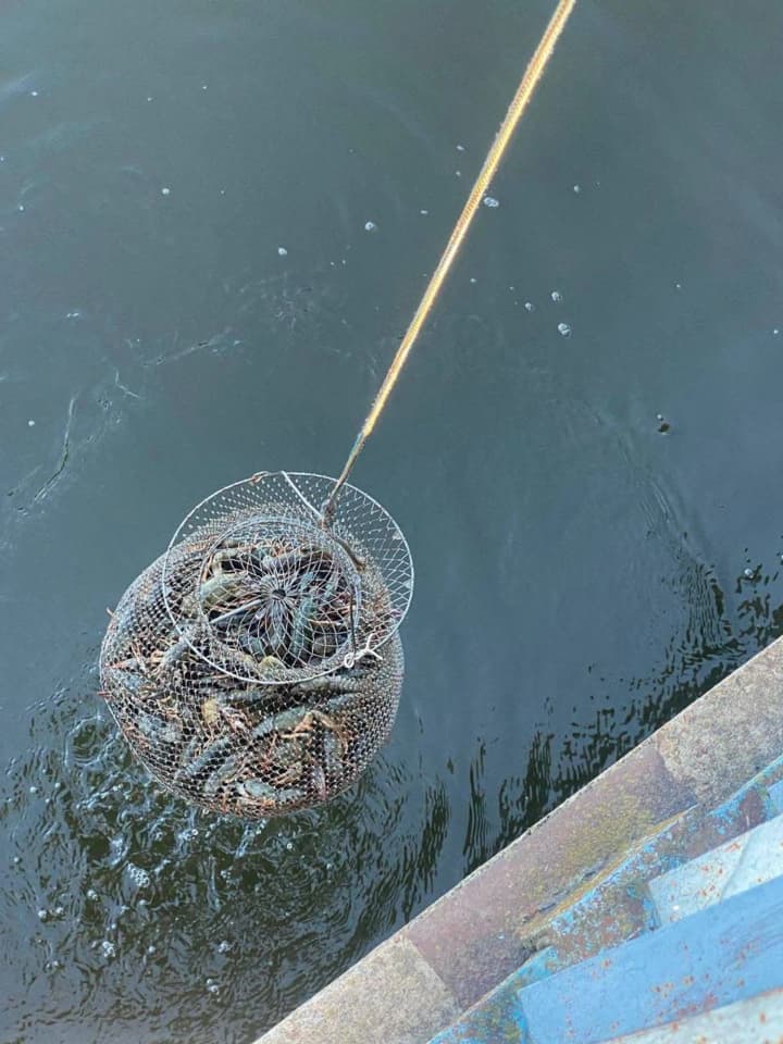 na-kharkivshchyni-vykryly-nezakonnyi-vylov-ryby-na-ponad-26-mln-hrn