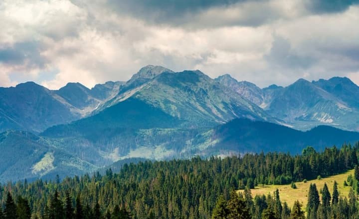 dni-bez-viiny-ukrainski-dity-nasolodzhuiutsia-chasom-u-litnomu-tabori-v-karpatakh-fotoreportazh