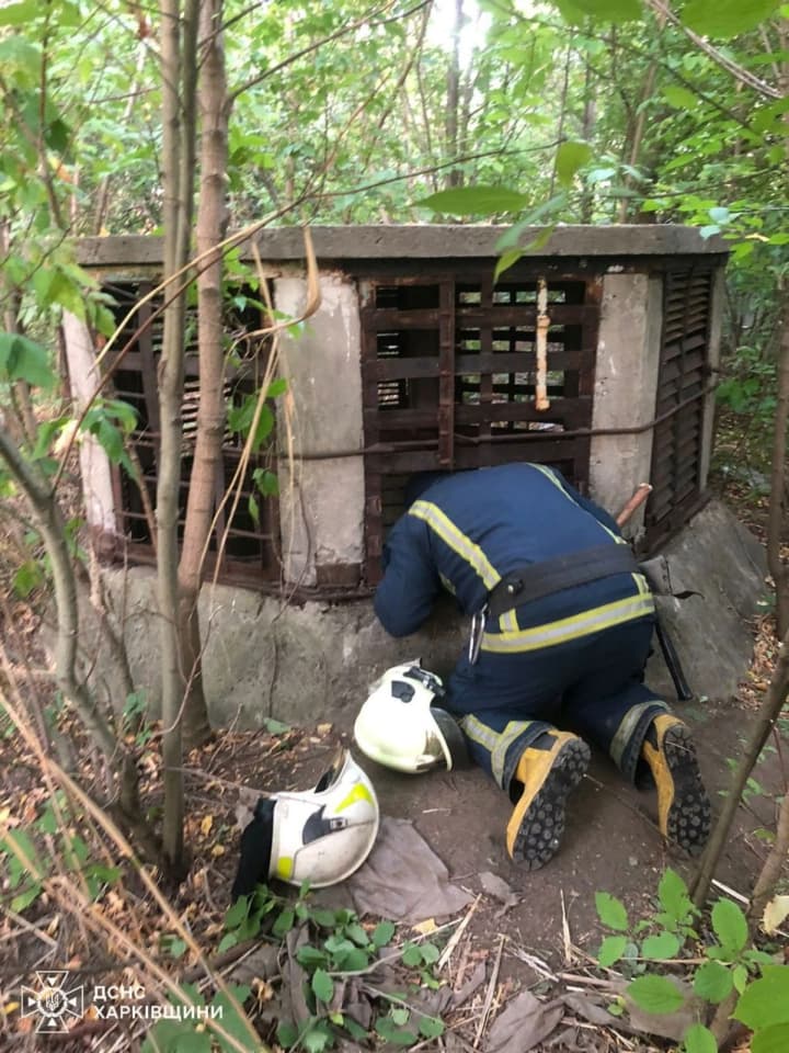 v-kharkove-spasateli-osvobodili-trekh-podrostkov-iz-ventilyatsionnoi-shakhti-gschs