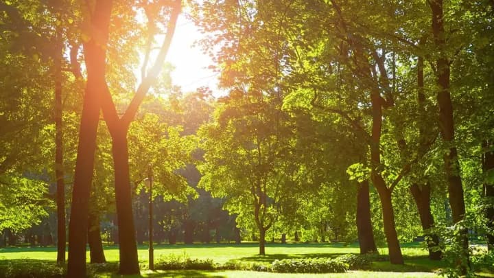 tepli-dni-ne-vidstupaiut-yakoiu-bude-pohoda-v-ukraini-4-veresnia