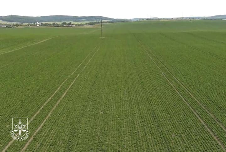 nezakonno-peredav-u-pryvatnu-vlasnist-64-ha-zemel-eksnachalnyku-hu-derzhheokadastru-khmelnychchyny-oholosyly-pidozru