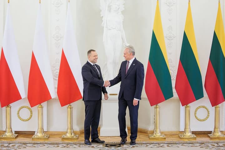 navrotskyi-zaiavyv-pro-rizni-pohliady-z-nausedoiu-shchodo-chlenstva-ukrainy-v-yes