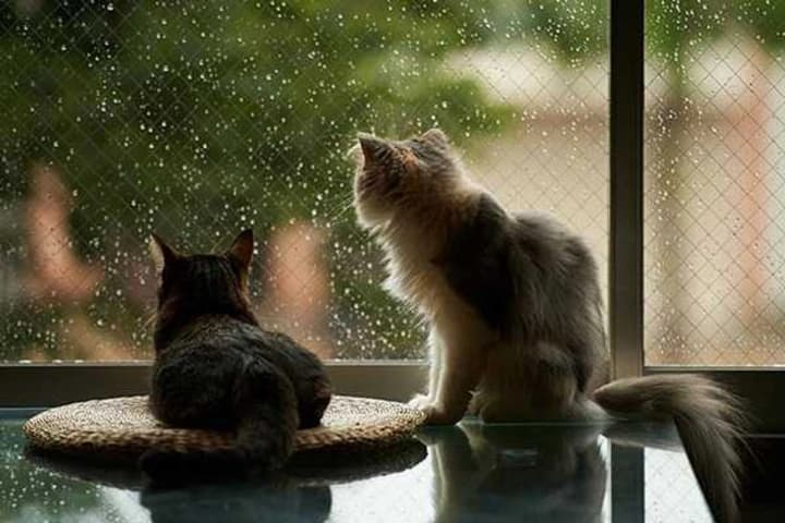 autumn-comes-into-its-own-weather-forecast-for-september-11