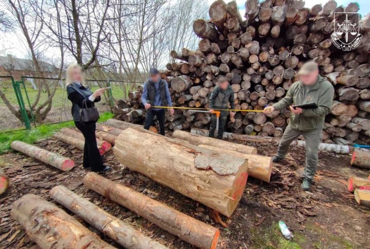 special-prosecutors-exposed-new-schemes-of-forest-embezzlement-worth-uah-328-million-at-the-state-enterprise-forests-of-ukraine