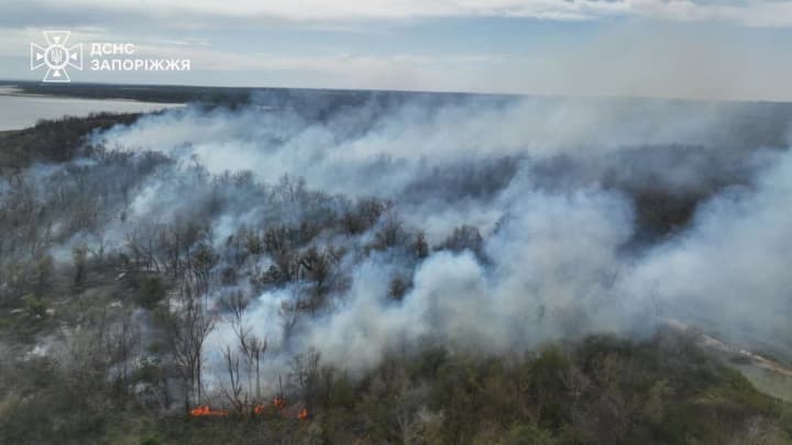 large-scale-fire-breaks-out-on-khortytsia-forest-floor-dry-grass-and-shrubs-are-burning