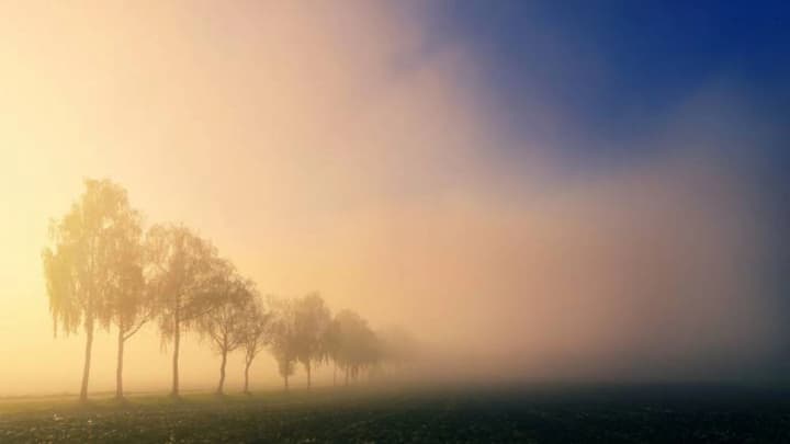 fog-in-the-morning-and-up-to-27c-in-the-afternoon-what-weather-to-expect-tomorrow-in-ukraine
