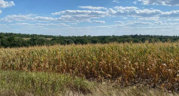 prosecutors-office-returned-700-hectares-of-land-worth-uah-27-million-to-dnipropetrovsk-communities-details