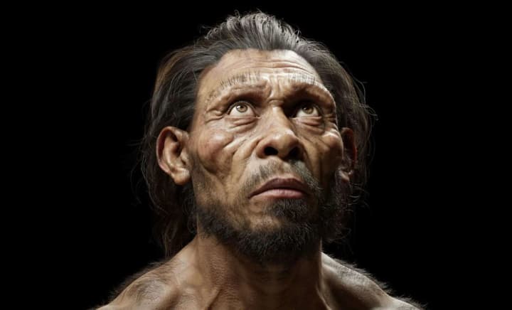 a-1-million-year-old-skull-found-may-indicate-an-earlier-origin-of-humans