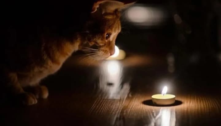 ponad-50-tysiach-abonentiv-na-chernihivshchyny-zalyshylysia-bez-svitla-pislia-ataky-oblenerho