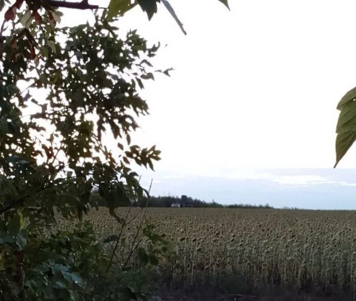 agent-atesh-iz-ryadov-rossiiskoi-armii-pomog-povredit-zrpk-pantsir-s1-na-khersonskom-napravlenii