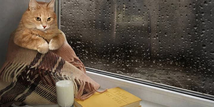 forecasters-predict-rain-and-strong-winds-in-ukraine-weather-forecast-for-september-30